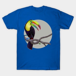 Keel-Billed Toucan T-Shirt